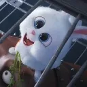 bunny_whats_that