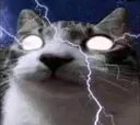 lightningkitty