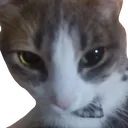 lenziegoingstotouchesyou