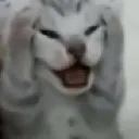 AE_catstress