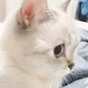 AE_sideeye