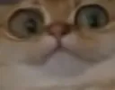 MONKAH