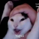 yey