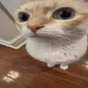 huh