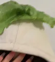 haylettuce