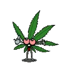 Weed2