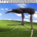 DAMN
