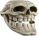 skull_troll