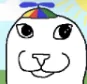 starer