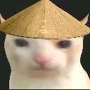 ChCAT