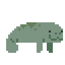 25046manatee