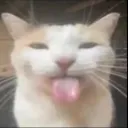 pookiecore