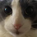 soggy