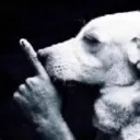shhhh