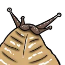 snailbelly
