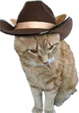 marshallcowboy