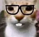 nerdykitty