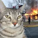 ponder_destruction