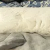 LongMochi2 LongMochi2