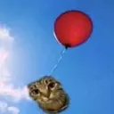 zazbloon