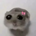 heemheemwhimper