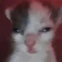 emoji_12