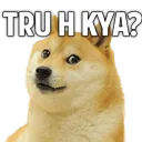 NG_Truu