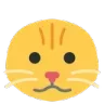baldcat