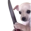dogwithknife