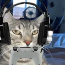 ponder_gaming