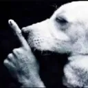 hush