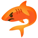 DattuSharkRage