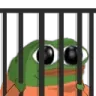 pepejail