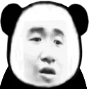 PANDAWhat