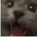 kittyWraaaa