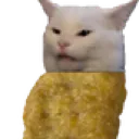 NuggyCat