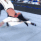 :CesaroSwing: