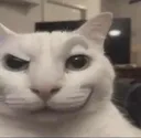 Smirkcat