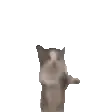 catjump