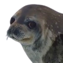 emoji_433 Discord emoji