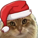 catstaresanta