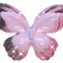 butterfly4