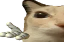 idk1