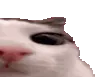 plink2