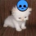 :blush: