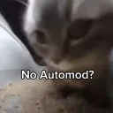 catno_automod