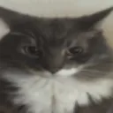 stare2