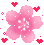 78444pinkcherryblossom