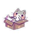 56370boxcat