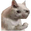 TEA_3catnupogodi Discord emoji